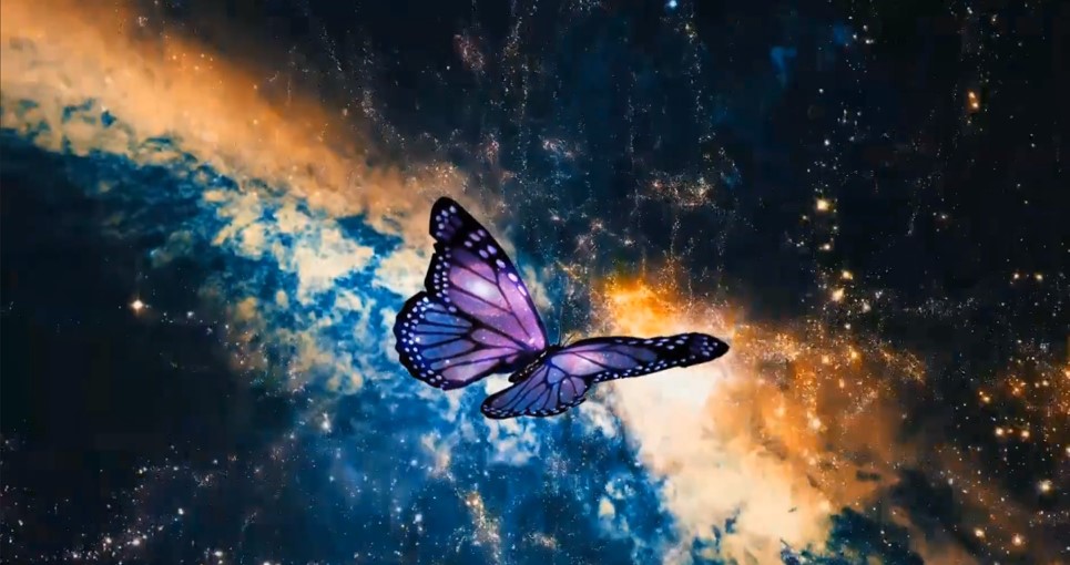 butterfly against galaxies